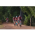 Team 172 / Raid Amazones Cambodge - J5 VTT