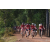 Team 157 / Raid Amazones Cambodge - J5 VTT