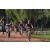 Team 146 / Raid Amazones Cambodge - J5 VTT