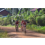 Team 101 / Raid Amazones Cambodge - J5 VTT