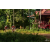 Team 53 / Raid Amazones Cambodge - J5 VTT