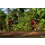 Team 53 / Raid Amazones Cambodge - J5 VTT