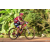 Team 46 / Raid Amazones Cambodge - J5 VTT