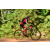 Team 25 / Raid Amazones Cambodge - J5 VTT