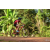 Team 57 / Raid Amazones Cambodge - J5 VTT