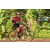 Team 159 / Raid Amazones Cambodge - J5 VTT