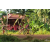 Team 47 / Raid Amazones Cambodge - J5 VTT