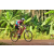 Team 39 / Raid Amazones Cambodge - J5 VTT
