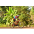 Team 39 / Raid Amazones Cambodge - J5 VTT