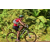 Team 39 / Raid Amazones Cambodge - J5 VTT