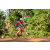 Team 61 / Raid Amazones Cambodge - J5 VTT
