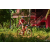 Team 56 / Raid Amazones Cambodge - J5 VTT