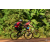 Team 42 / Raid Amazones Cambodge - J5 VTT