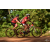 Team 55 / Raid Amazones Cambodge - J5 VTT