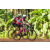 Team 37 / Raid Amazones Cambodge - J5 VTT
