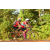 Team 37 / Raid Amazones Cambodge - J5 VTT