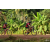 Team 168 / Raid Amazones Cambodge - J5 VTT