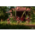 Team 107 / Raid Amazones Cambodge - J5 VTT