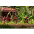 Team 107 / Raid Amazones Cambodge - J5 VTT