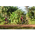 Team 19 / Raid Amazones Cambodge - J5 VTT