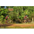 Team 167 / Raid Amazones Cambodge - J5 VTT