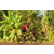 Team 27 / Raid Amazones Cambodge - J5 VTT