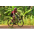 Team 28 / Raid Amazones Cambodge - J5 VTT