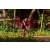 Team 28 / Raid Amazones Cambodge - J5 VTT