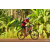 Team 28 / Raid Amazones Cambodge - J5 VTT