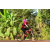 Team 130 / Raid Amazones Cambodge - J5 VTT