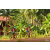 Team 140 / Raid Amazones Cambodge - J5 VTT
