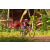 Team 140 / Raid Amazones Cambodge - J5 VTT