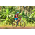 Team 140 / Raid Amazones Cambodge - J5 VTT