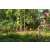 Team 152 / Raid Amazones Cambodge - J5 VTT