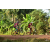 Team 172 / Raid Amazones Cambodge - J5 VTT