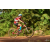 Team 172 / Raid Amazones Cambodge - J5 VTT