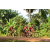 Team 111 / Raid Amazones Cambodge - J5 VTT