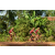 Team 111 / Raid Amazones Cambodge - J5 VTT