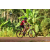 Team 103 / Raid Amazones Cambodge - J5 VTT
