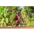 Team 103 / Raid Amazones Cambodge - J5 VTT