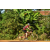 Team 122 / Raid Amazones Cambodge - J5 VTT