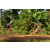 Team 122 / Raid Amazones Cambodge - J5 VTT