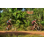 Team 122 / Raid Amazones Cambodge - J5 VTT