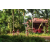 Team 109 / Raid Amazones Cambodge - J5 VTT