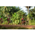 Team 109 / Raid Amazones Cambodge - J5 VTT