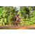 Team 45 / Raid Amazones Cambodge - J5 VTT