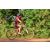 Team 128 / Raid Amazones Cambodge - J5 VTT