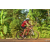Team 148 / Raid Amazones Cambodge - J5 VTT