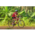Team 114 / Raid Amazones Cambodge - J5 VTT