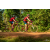 Team 133 / Raid Amazones Cambodge - J5 VTT